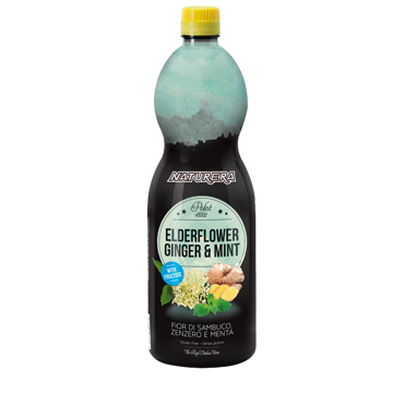 Wellness Line Elderflower Ginger & Mint Polot 1882 1lt