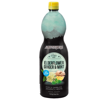 Wellness Line Elderflower Ginger & Mint Polot 1882 1lt