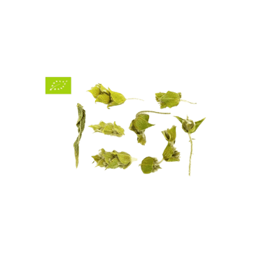 Mountain's Tea 100gr